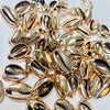 Cowrie Shells (Electroplated)