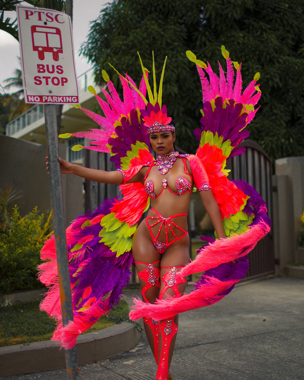 Carnival costume and swimwear supplies retail store based in Trinidad.