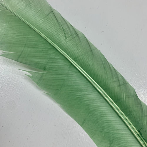 QUILL (Sage Green)