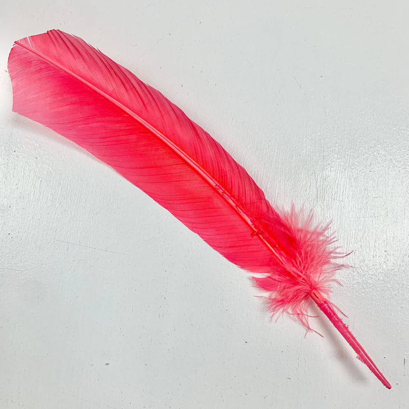 QUILL (Coral)