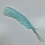 QUILL (Aqua)