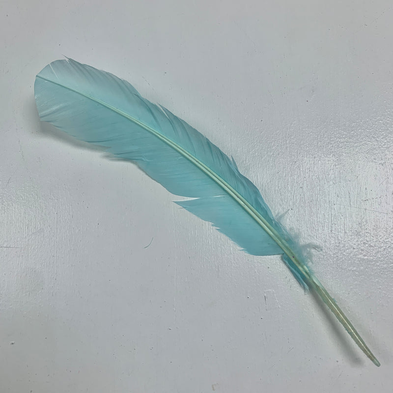 QUILL (Aqua)