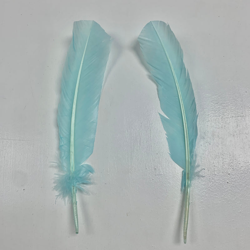 QUILL (Aqua)