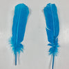 QUILL (Turquoise)