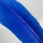 QUILL (Royal Blue)