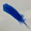 QUILL (Royal Blue)