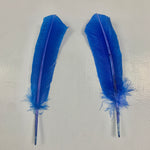 QUILL (Royal Blue)