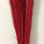 RINGNECK Bleached (Red)