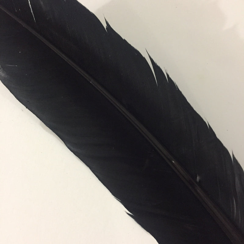 QUILL (Black)