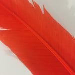 QUILL (Orange)