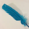 QUILL (Turquoise)