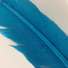 QUILL (Turquoise)