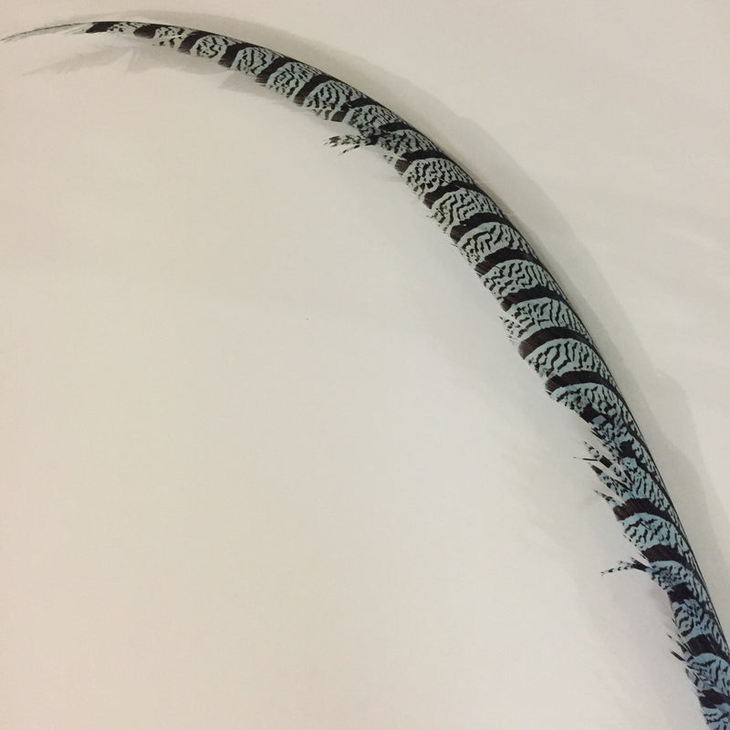 Zebra Tails (Turquoise/Fuchsia/Coral/Blue/Magenta)