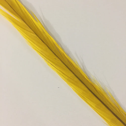 RINGNECK Bleached (Yellow)