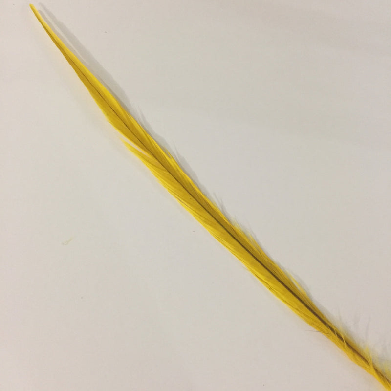 RINGNECK Bleached (Yellow)