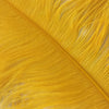 PLUMES (Golden Yellow)