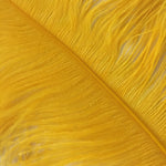 PLUMES (Golden Yellow)