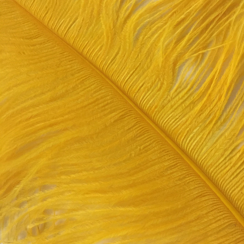 PLUMES (Golden Yellow)