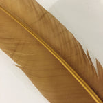 QUILL (Gold)