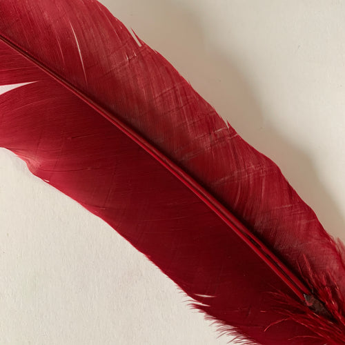 QUILL (Burgundy)