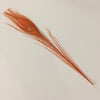Peacock Tails 8-12" (Magenta/Orange)