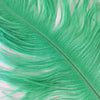 PLUMES (Mint)