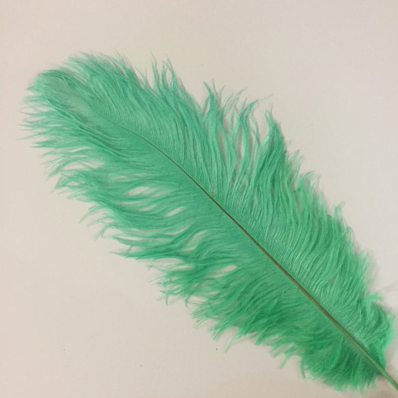 PLUMES (Mint)