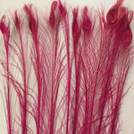 Peacock Tails  (Bleached/Fuchsia/Green/Grey/Red)