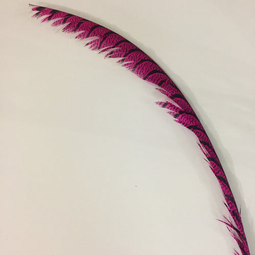 Zebra Tails (Turquoise/Fuchsia/Coral/Blue/Magenta)