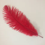 PLUMES (Red)