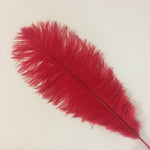 PLUMES (Red)