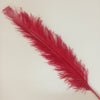 PLUMES (Red)