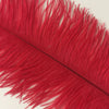 PLUMES (Red)