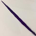 RINGNECK Bleached (Purple)