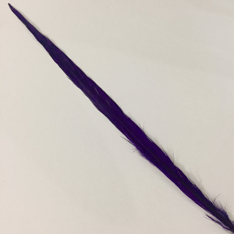 RINGNECK Bleached (Purple)